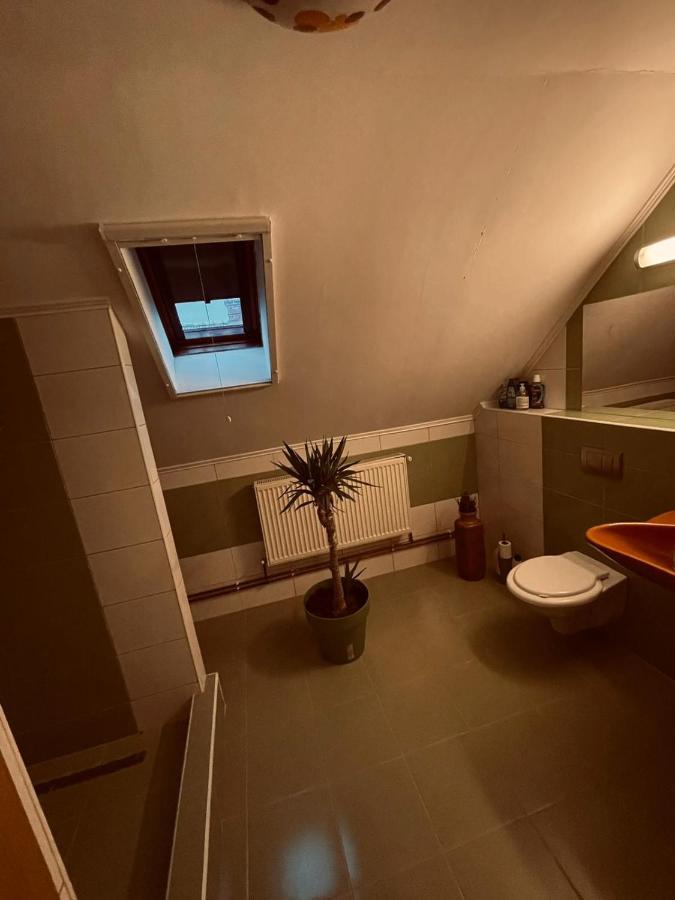 Casa Verde Foeni Dış mekan fotoğraf