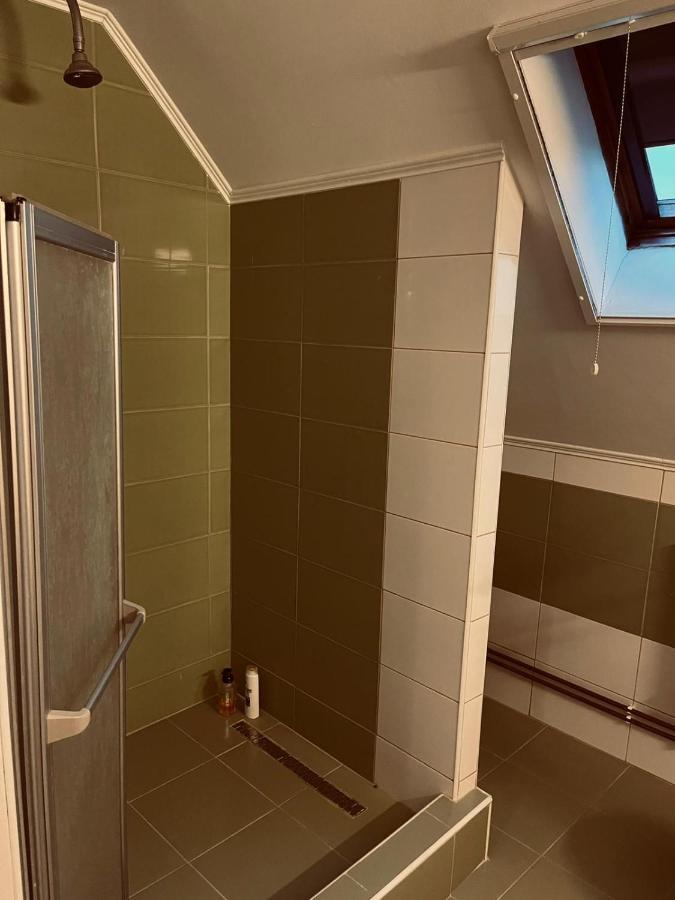 Casa Verde Foeni Dış mekan fotoğraf