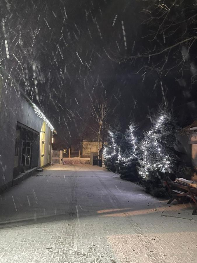 Casa Verde Foeni Dış mekan fotoğraf